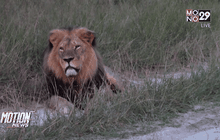 ซิมบับเวขอสหรัฐฯ ส่งผู้ร้ายข้ามแดน