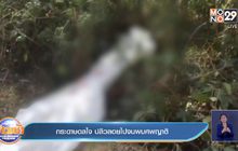 กระดาษดลใจ ปลิวลอยไปจนพบศพญาติ