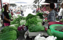 ผักขยับราคาขึ้นหลังได้รับผลกระทบจากภัยแล้ง