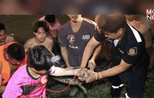 กู้ภัย จ. สุพรรณบุรีจับจระเข้