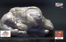 ประมูลไข่มุก “Sleeping Lion”