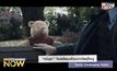 “หมีพูห์” โผล่เยี่ยมเพื่อนเก่าวัยผู้ใหญ่ ในหนัง Christopher Robin