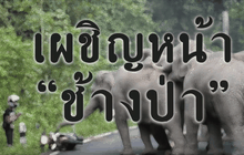 The Day News Update 20-10-58