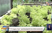 “ TT Organic Farm ” ศูนย์เรียนรู้ปลูกผักง่ายๆ สไตล์เกษตรอินทรีย์