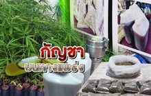 กัญชาบนทางแพร่ง 09-04-62