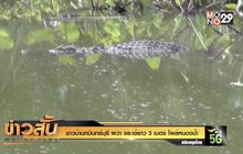 ชาวบ้านกบินทร์บุรี ผวา จระเข้ยาว 3 เมตร โผล่หนองน้ำ