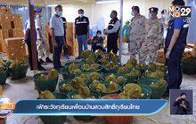 เฝ้าระวังทุเรียนเพื่อนบ้านสวมสิทธิ์ทุเรียนไทย