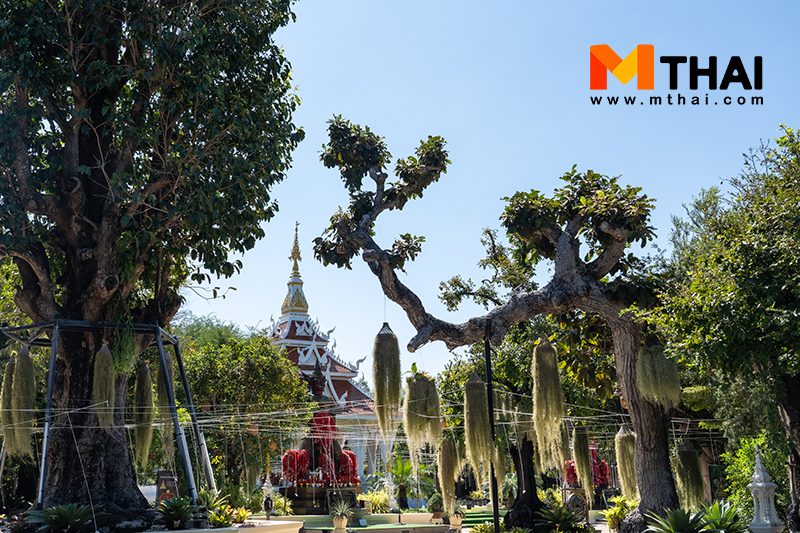 วัดสมปรารถนาพุทธาราม