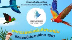รวมพลคนเลี้ยงนกบินอิสระที่ใหญ่ที่สุดในโลก มหกรรมแข่งขันกีฬานกบินชิงแชมป์ประเทศไทย 2563