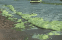 ทำไม….ทะเลเปลี่ยนสี?