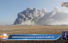 เพลิงไหม้ฟาร์มหมูในเยอรมนี หมูตายกว่า 55,000 ตัว