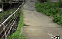 ถนนริมคลองอ่างทองทรุดตัว