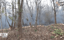 จ.แม่ฮ่องสอน เฝ้าไฟป่า 24 ชั่วโมง