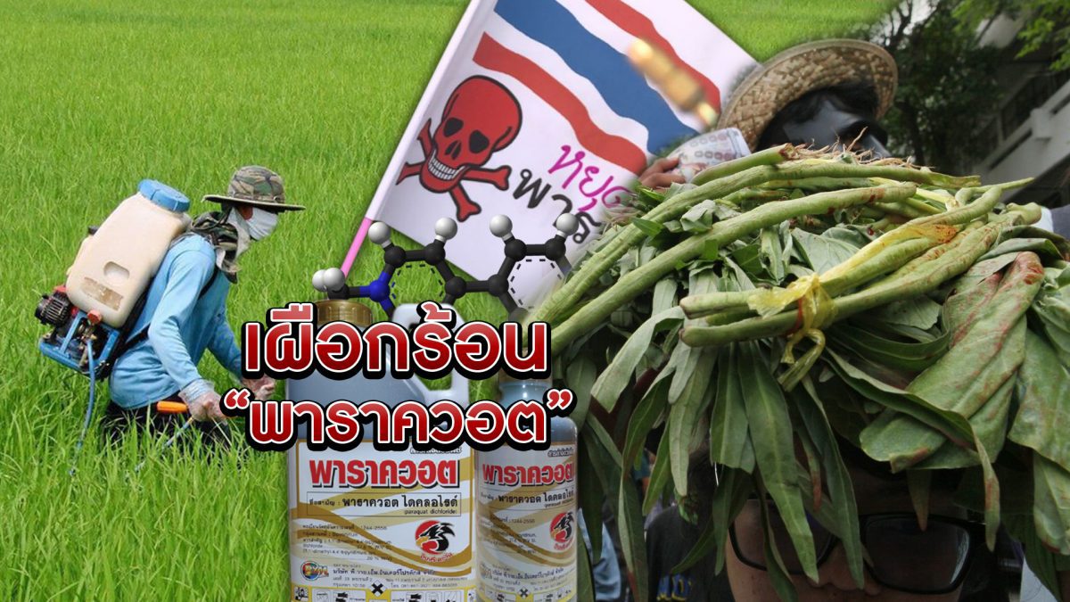 เผือกร้อน "พาราควอต" 18-02-62