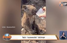 ไฟป่า“ออสเตรเลีย”ยังวิกฤต
