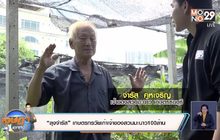 “ลุงจำรัส” เกษตรกรวัยเก๋าเจ้าของสวนมะนาว100ล้าน