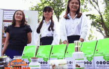 น้ำมันสกัดใบยาสูบไล่แมลง