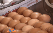 อากาศร้อน ไก่ออกไข่น้อย ราคาขยับ