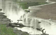 แม่น้ำยม จ.พิจิตร แห้งขอดนาน 6 เดือน