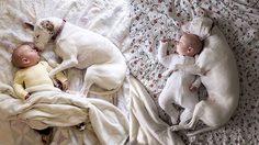 น่ารักชวนยิ้มตาม… เจ้าตูบเฝ้าดูแลเด็กน้อยไม่ห่าง จนเป็น เพื่อนรัก กันไปแล้ว