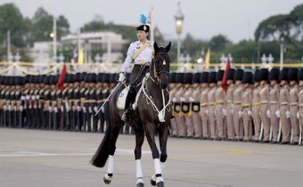 เปิดประวัติ “Fürst Henry” ม้าทรงคู่พระทัยแห่งสมเด็จพระเจ้าลูกเธอ เจ้าฟ้าสิริวัณณวรีฯ