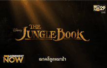 Movie Review : The Jungle Book เมาคลีลูกหมาป่า
