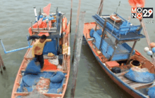 ประมงพื้นบ้านยังหาปลาตามปกติ