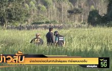 ช้างป่าเขาอ่างฤาไนหากินใกล้ชุมชน ทำร้ายคนบาดเจ็บ