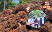 “พาณิชย์” ตรวจเข้มลานเท โรงสกัดน้ำมันปาล์ม ปกป้องสิทธิเกษตรกร