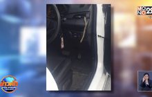 แทบช็อก! เจองูโผล่ตรงช่องแอร์ในรถยนต์