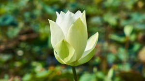 ปฏิทินวันพระ 2561 เดือนกันยายน