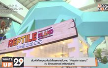 สัมผัสโลกของสัตว์เลื้อยคลานในงาน “Reptile Island”  ณ ซีคอนสแควร์ ศรีนครินทร์