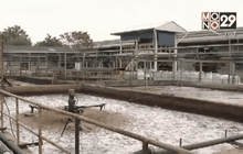 ภัยแล้งกระทบโรงงานเกือบ 1,200 แห่ง