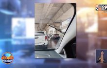 งูเหลือมเลื้อยหนีหนาวจากห้องเครื่องรถยนต์ออกมาขณะขับ