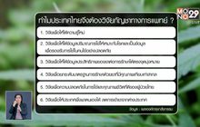 ก.พาณิชย์เตรียมแจงสนช.จดสิทธิบัตรสารสกัดกัญชา 20 พ.ย.นี้