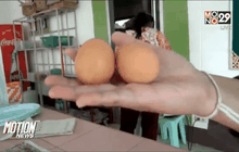 ไข่ปลอมระบาด จ.ชลบุรี    