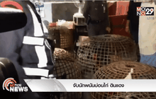 จับนักพนันบ่อนไก่ ดินแดง
