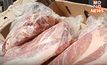 จับเนื้อสุกรแช่แข็งเถื่อน 30 ตัน มูลค่า 6 ล้าน ลักลอบขนมาในตู้คอนเทนเนอร์