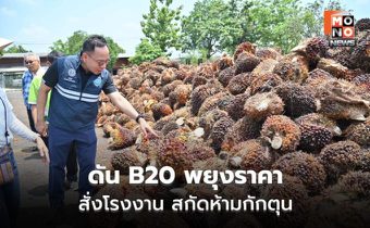 พาณิชย์ลงพื้นที่ปาล์ม ดัน B20 หนุนราคาขยับ