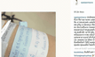 “โอปอล์” คลอดลูกแฝด ตั้งชื่อ “อลิน-อรัญ”