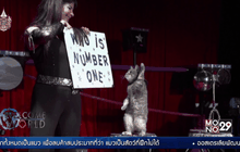 ละครสัตว์แมว