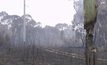 ออสเตรเลียเริ่มประเมินความเสียหายจากไฟป่า