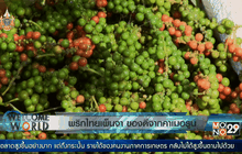 พริกไทยเพ็นจา ของดีจากคาเมอรูน