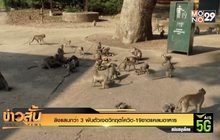 ลิงแสมกว่า 3 พันตัวเจอวิกฤตโควิด-19 ขาดแคลนอาหาร