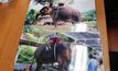 ทวงคืนช้าง “พังโย” ถูกขโมยหาย 14 ปี