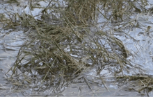 สถานการณ์น้ำท่วมในหลายพื้นที่