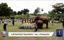 ระลึกวันช้างไทย “จัดบุฟเฟ่ช้าง” ครบ 5 ปีปลดกูบช้าง