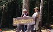 แห่สัมผัสอากาศหนาวที่อุทยานแห่งชาติภูหินร่องกล้า