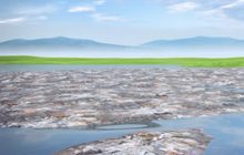 จีนทิ้งขยะลงสู่ทะเลมากที่สุดในรอบศตวรรษ