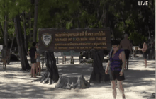 ฟื้นฟูการท่องเที่ยวแหล่งธรรมชาติเกาะพีพี จ.กระบี่